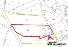 Dwa domy z ziemią rolną w Broniszowie